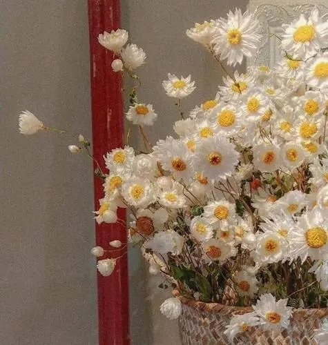 很美很仙的句子文案