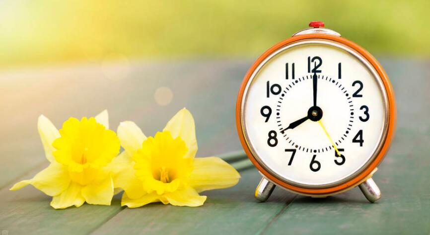 美好的早安语录文案