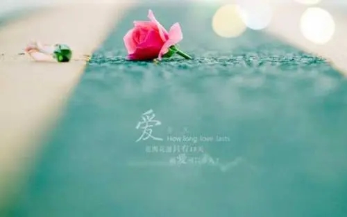 关于亲情的句子文案短