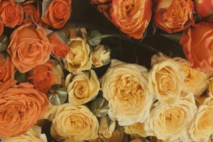 三八妇女节的名言名句文案