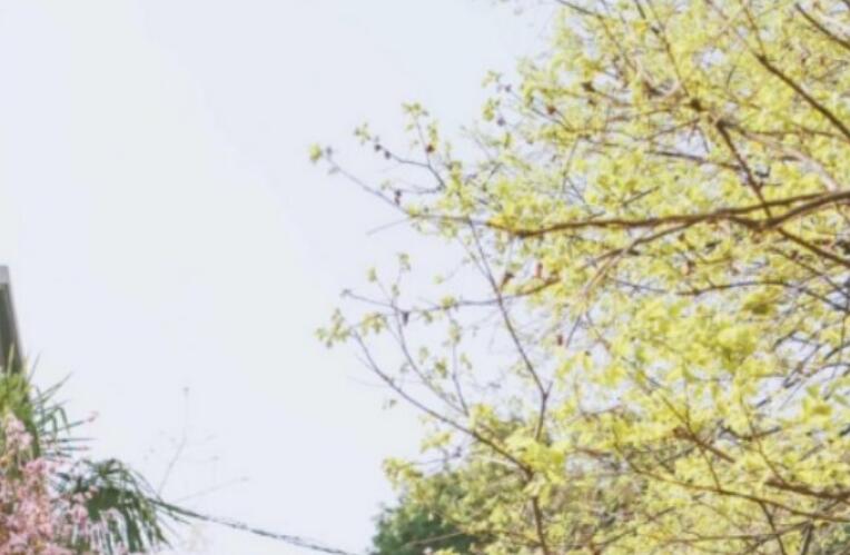 描写春天中午的句子文案