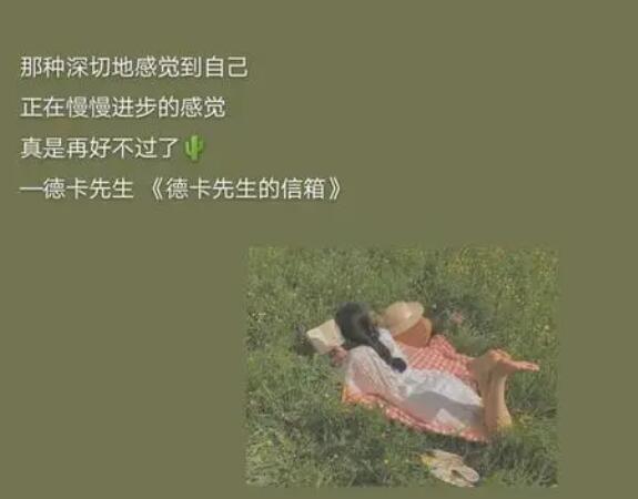 表达情怀的动人句子文案