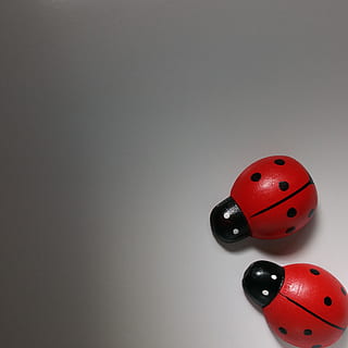 骂玩弄感情的人句子文案