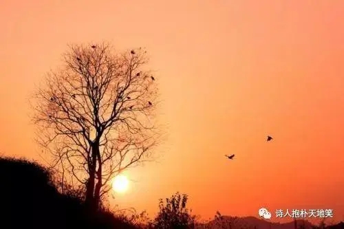 东南开头的诗词