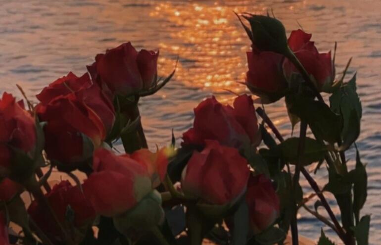 激励自己努力的句子文案有深度