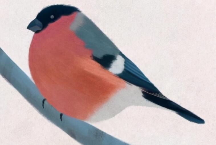 描写人生感悟的句子文案