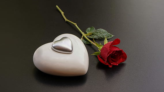 幽默喜欢一个人的经典句子文案