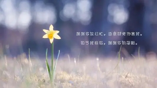 一句有殇的句子文案