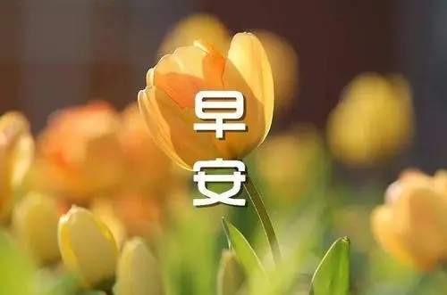 心情低落早安句子文案