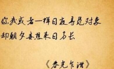 失去的爱情语录文案