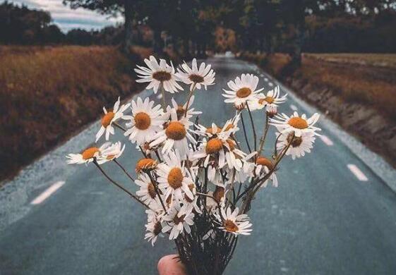 关于出去旅游的好句子文案