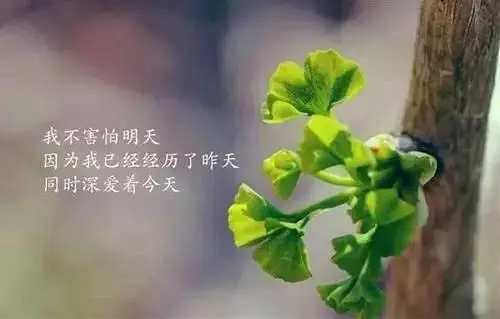 让自己舒服的句子文案说说