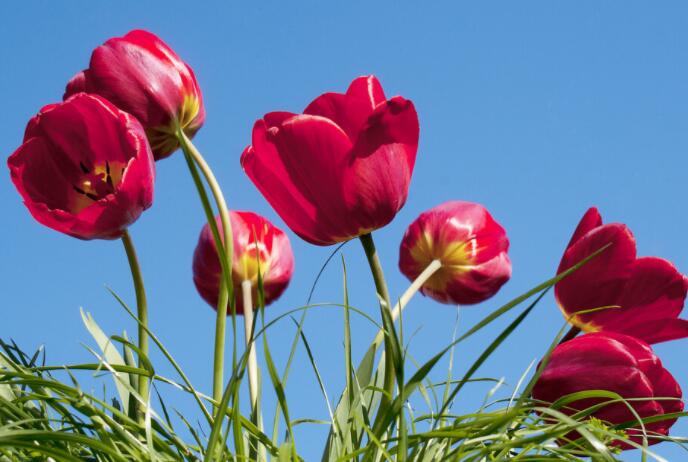 温暖的句子文案唯美