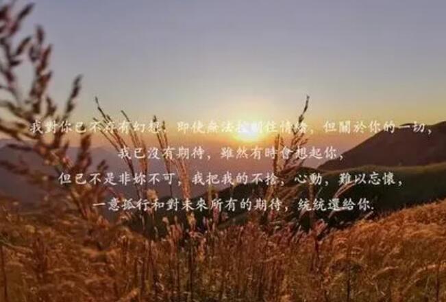 写给未来的短句子文案