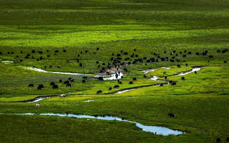 觉得自己好贱的说说文案