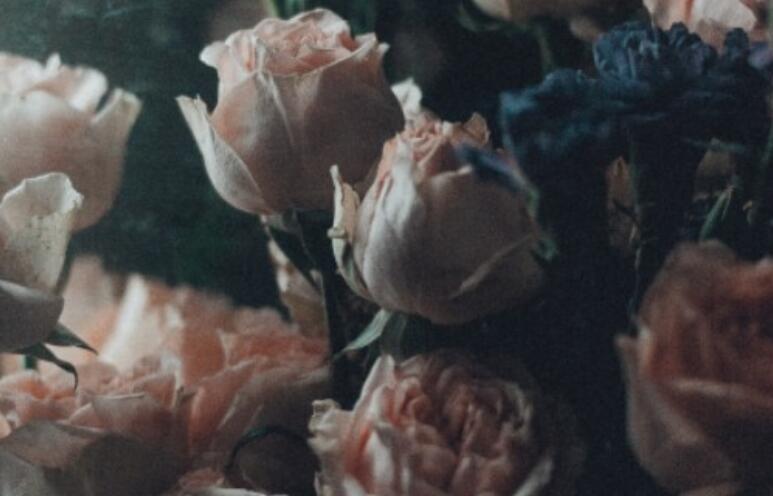 夸小孩笑得灿烂的朋友圈