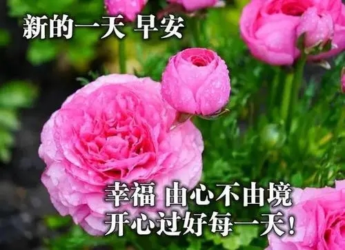 感谢朋友早安短句