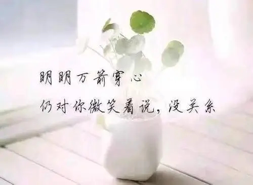 形容人愚笨的句子文案