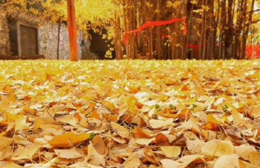 安慰情人分手的句子文案