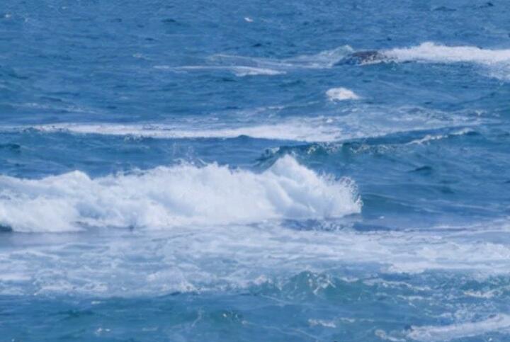 心情愉快的短句