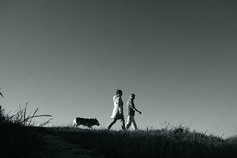 情侣金句名言短句