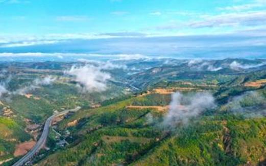 阳光正能量的早安心语