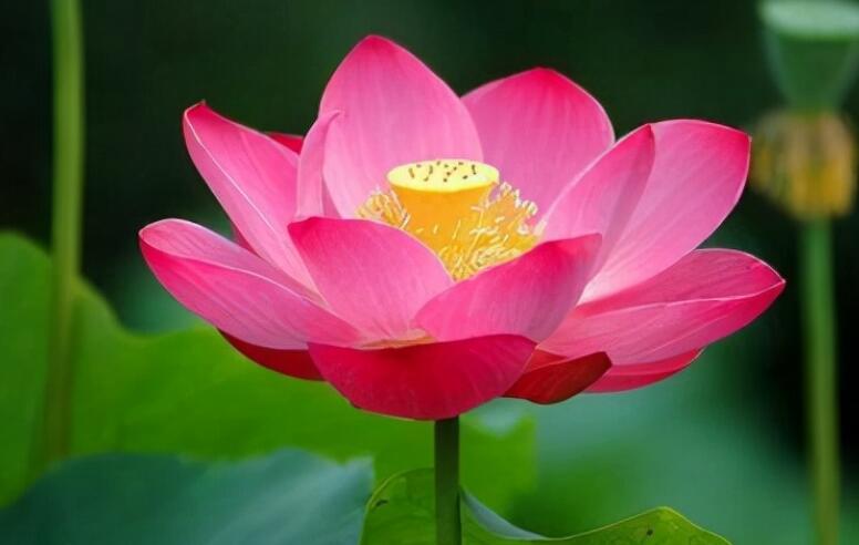 感悟生活的唯美句子文案