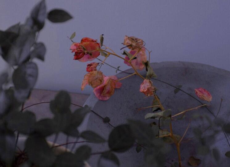 等待换来了失望的句子文案