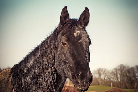 法语句子文案励志努力