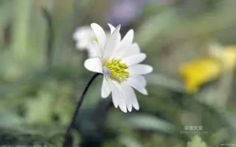 生活就像煲汤的句子文案