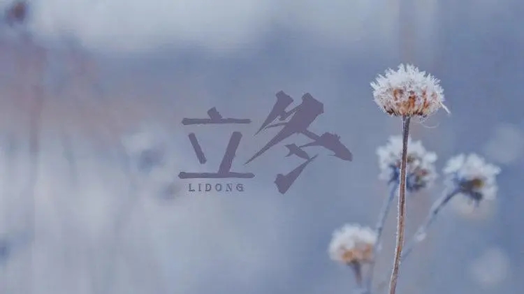 冬天开头唯美句子文案