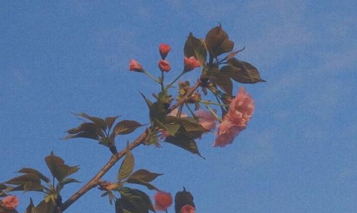 对心理阴暗的人说的句子文案