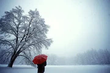 心情极度崩溃的句子文案