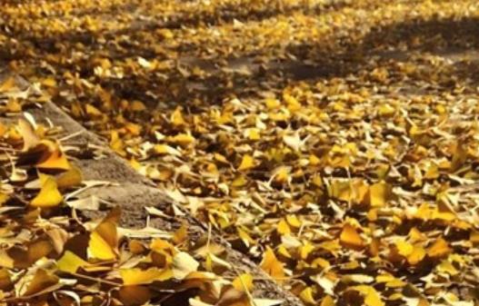 别焦虑的说说文案