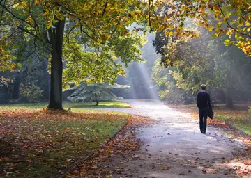 摘抄景色的句子文案大全