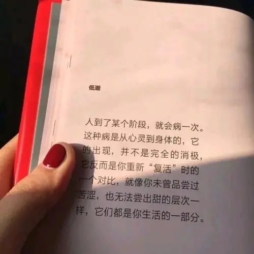 适于摘抄的英语句子文案