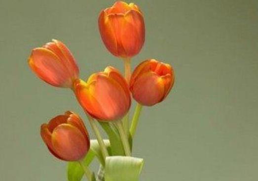 大学生想回家的说说文案