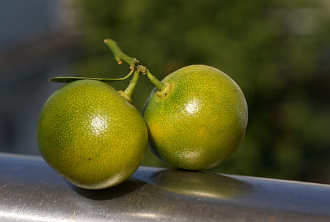 深夜撩妹句子文案