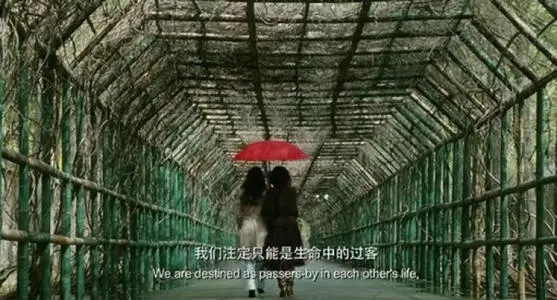 生命中的过客说说文案