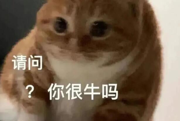 抬杠的经典句子文案