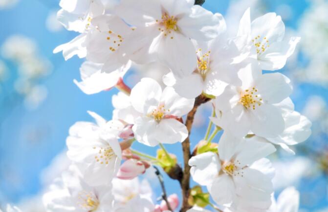 唯美名言名句文案经典摘抄