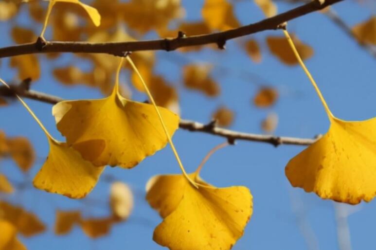 时光岁月的经典句子文案说说心情