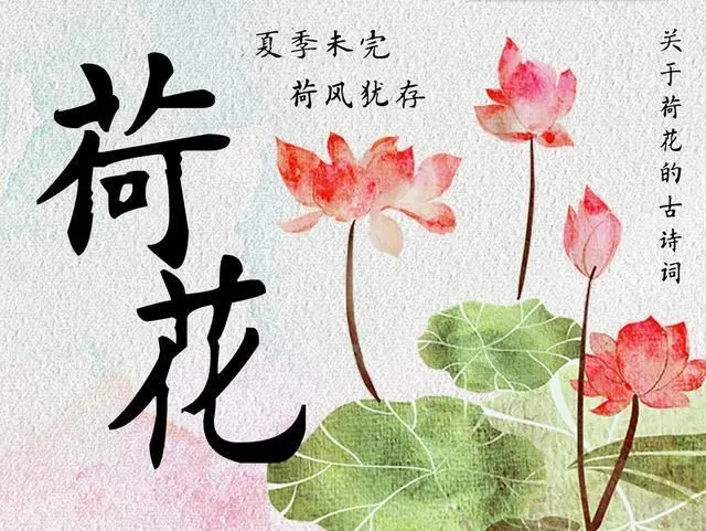 描写荷花的古诗10首