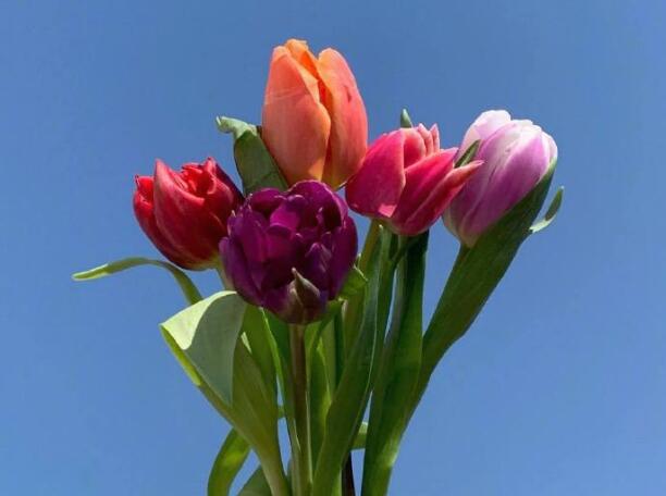 晚上发陌陌动态的句子文案