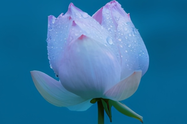 领悟人生哲理的句子文案简短