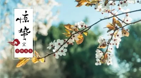 惊蛰节气诗词精选