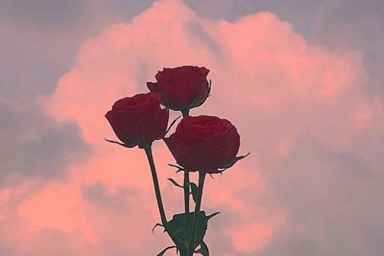 清晨的说说唯美句子文案