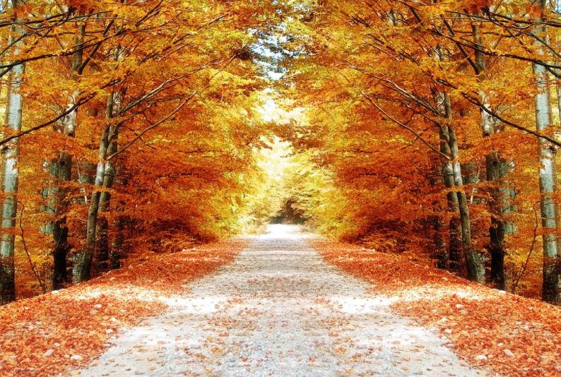 关于九月的诗句文案古诗词