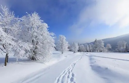 描写冬天来了的句子文案短句