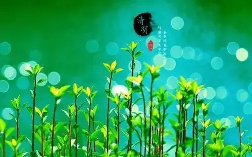 清明节发圈的唯美句子文案2024